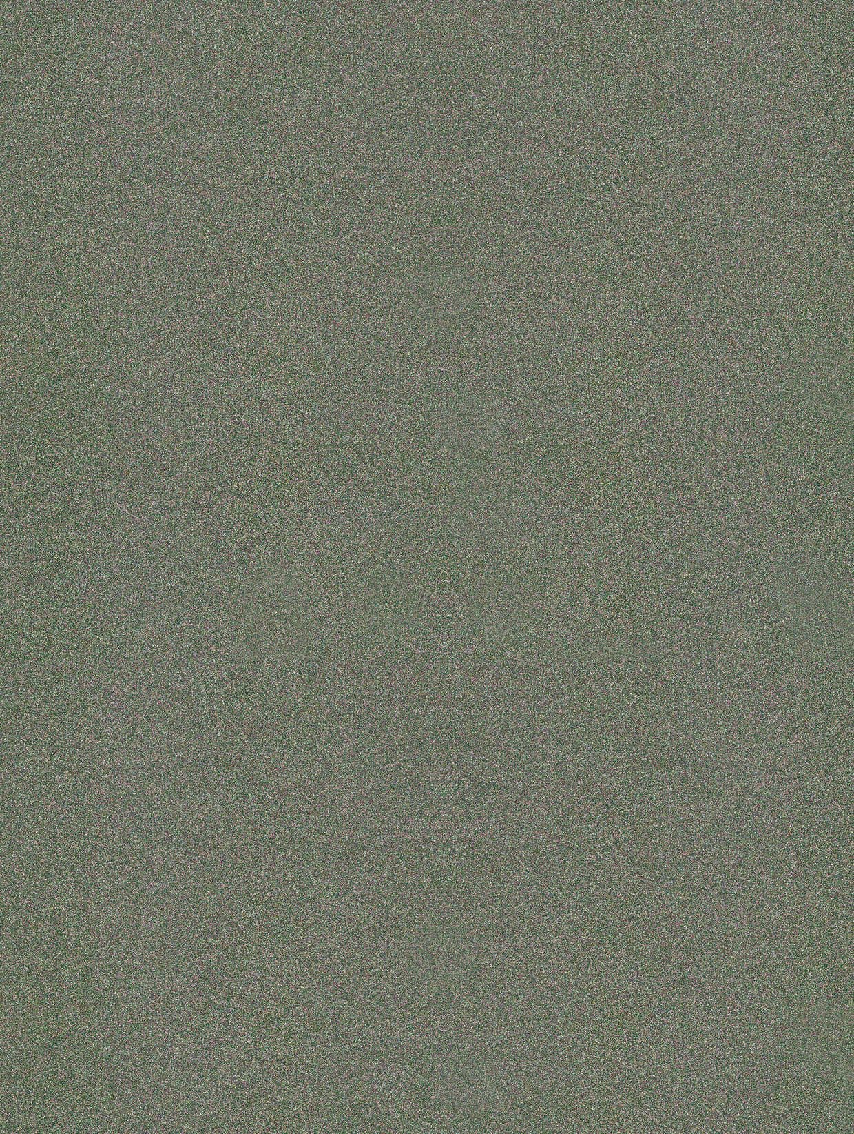 Texture du film R14 : paillette · r14